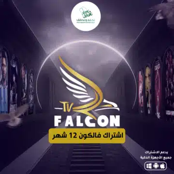 اشتراك فالكون 12 شهر