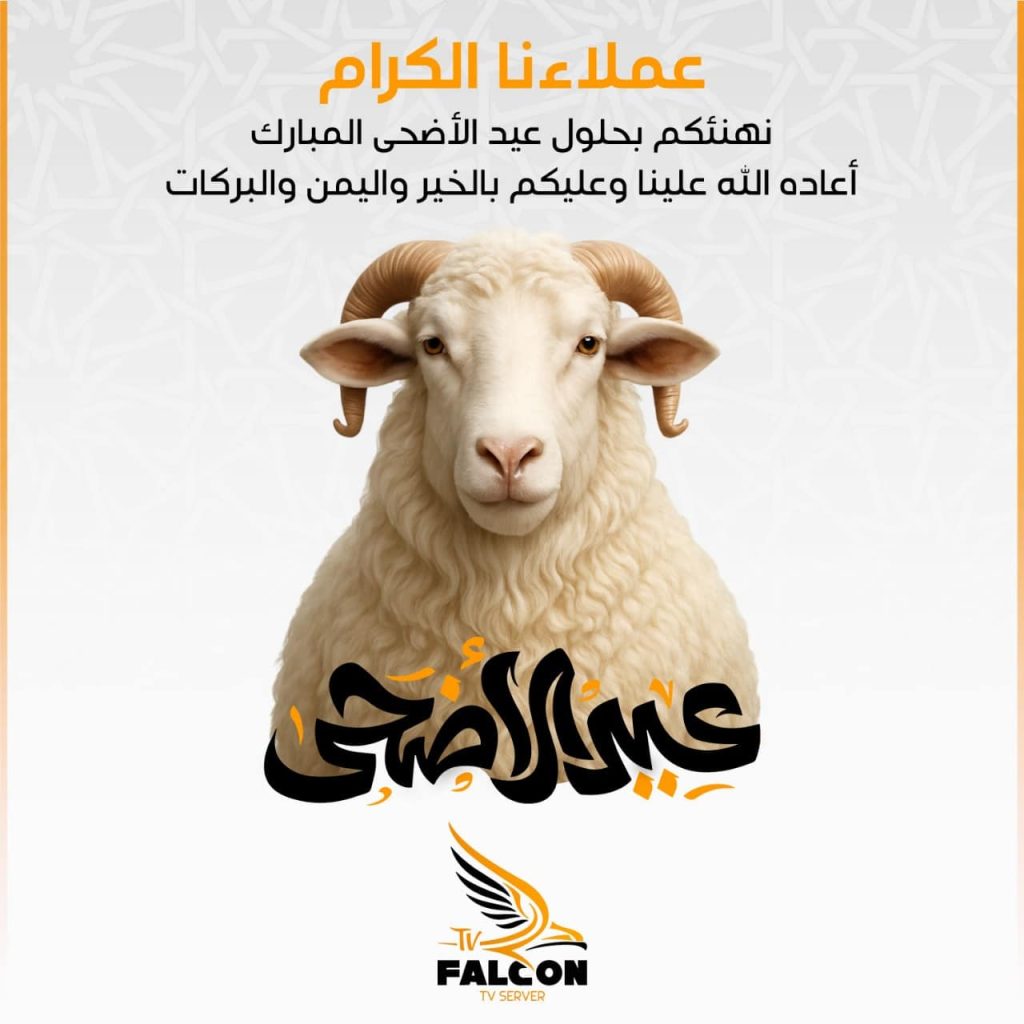 عرض فالكون
